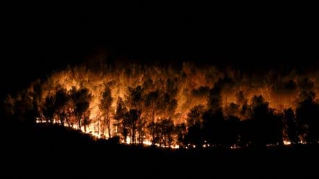 Feux de forêt : six départements en vigilance orange ce mardi