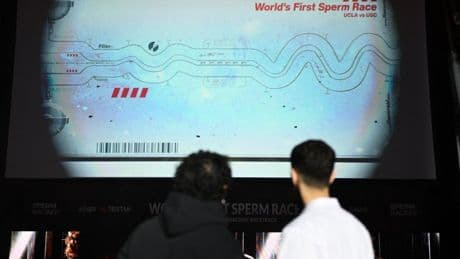 ‘World’s first sperm race’ in sticky situation after ‘faking live event’