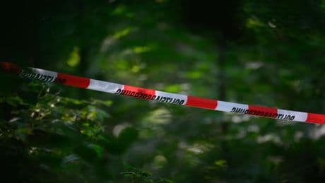 Leichenfund: Grausiger Fund im Göppinger Wald: Kinder entdecken Leiche
