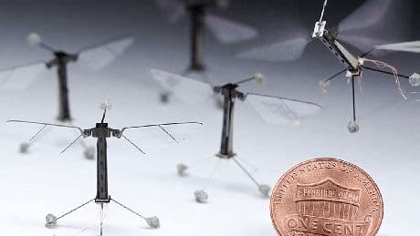 China: Militär entwickelt Mini-Drohne in Mückengröße – neue Spionagetechnik