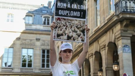 « Ce n’est pas aux industriels de décider de notre agriculture » : les opposants à la loi Duplomb se préparent à poursuivre le combat à la rentrée