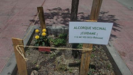 El cívico alcorque vecinal de Madrid