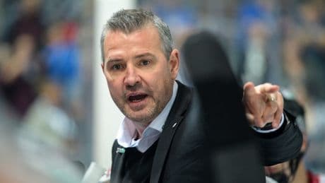 Der Meister legt wieder los - Was Trainer Aubin jetzt von den Eisbären fordert