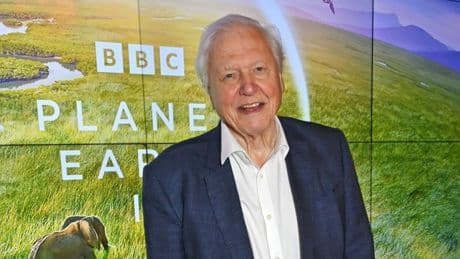 ‘Don’t ever call David Attenborough a national treasure – even if he is one’