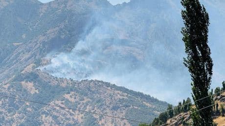 Şırnak'ta orman yangını! Ekiplerin müdahalesi devam ediyor