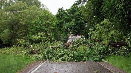 Deutschlandweit: Verletzte bei starken Unwettern – Bäume auf Gleisen und Autos