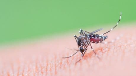 US considering China travel warning after nearly 5,000 cases of deadly virus: report