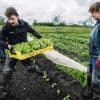 Samen bieten planten: zo zoeken boeren contact met de stad