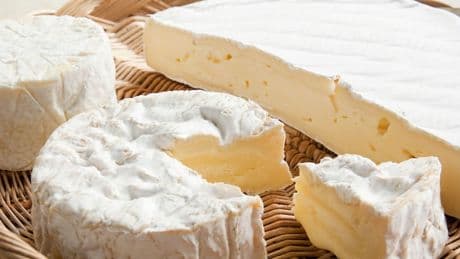 Weichkäse schuld? - Tote nach Listeriose-Ausbruch in Frankreich