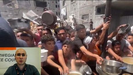 Gaza needs hundreds of aid trucks daily, Norwegian Refugee Council says
