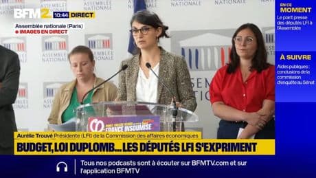 Agriculture: LFI annonce un recours au Conseil constitutionnel si la loi Duplomb est adoptée