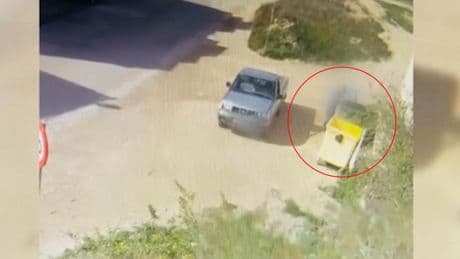 Denunciado por tirar cuatro cachorros de perro a un contenedor de basuras