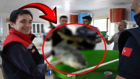 Kilosu tam 96 bin TL! Resmen servet kazandırıyor: Her biri tek tek numaralandırılıyor