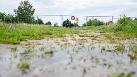Reptil gesichtet: Alligator-Suche in Vechta geht weiter