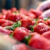 Ernährung: Erdbeeren zu Saison-Tiefpreisen - so viel kostet die Schale