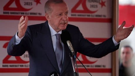 Reconnaissance de l'État de Palestine : le président turc Erdogan félicite Emmanuel Macron