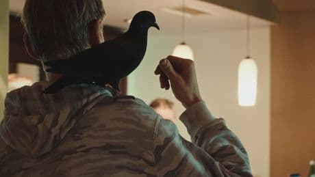 Kino: Erleuchtet in die Dunkelheit