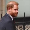 Prins Harry verliest rechtszaak rond politiebeveiliging en draait op voor 1,7 miljoen euro aan juridische kosten