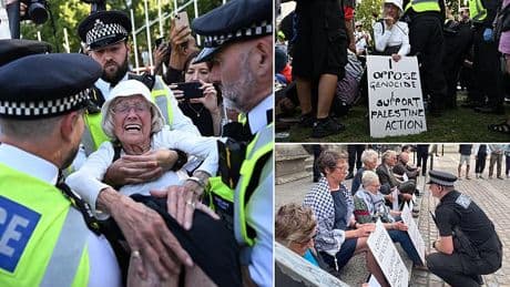 DAN HODGES: Palestine Action IS a terror group. But its liberal, middle-class backers think it's their right to defy the law