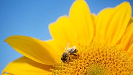 Sommerlicher Dienstag - dann wird es ungemütlich