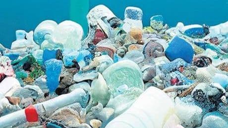Plastik artıyor canlar gidiyor