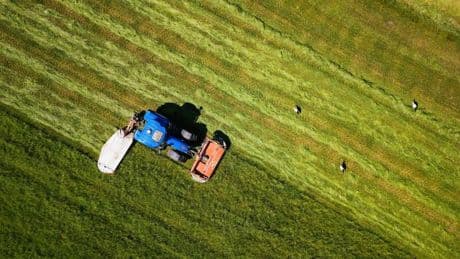 Fotografie: Bilder des Tages