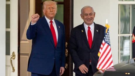 International charities and NGOs call for end to controversial Israeli-backed aid group in Gaza