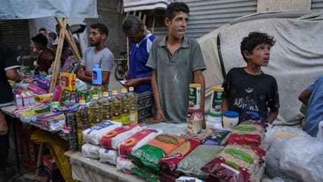 Internationale Hilfe wirkt - Lebensmittelpreise in Gaza sinken endlich!