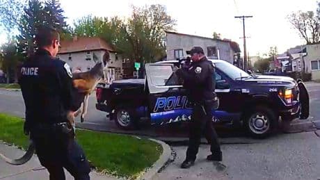 Loose pet kangaroo keeps police hopping -- again -- in a Colorado town