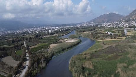 Lübnan'dan doğan Asi, Hatay'da kirleniyor; balıklar ölüyor
