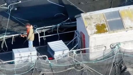 Shock footage of worker peeing into salmon farm fish pens outrages campaigners