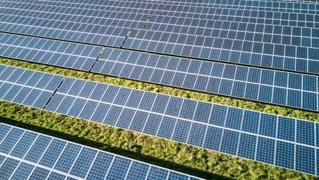 The unexpected additional benefit of solar farms