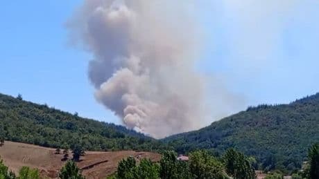Bursa'da orman yangını: Müdahale ediliyor
