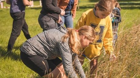 People across Dumfries and Galloway urged to take part in environmental BioBlitz