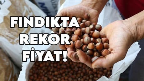 Fındıkta rekor fiyat açıklaması: Piyasa ve TMO'yu geride bıraktı!