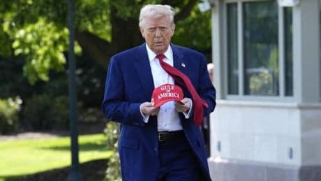I troppi tesorieri di Donald