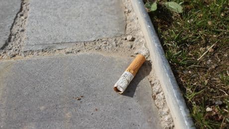 En el Día Mundial sin Tabaco ¿y se se prohibiera el filtro?