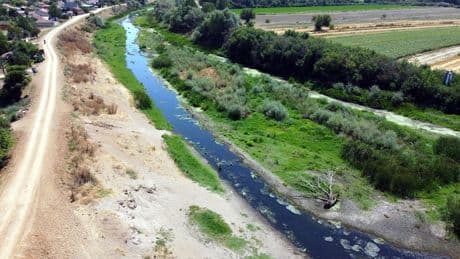 Tunca Nehri can çekişiyor, çeltik üreticisi tedirgin