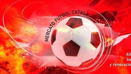 Altas, bajas y renovaciones