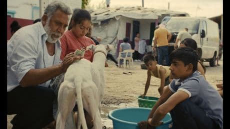 « Ciudad sin sueno » de Guillermo Galoe : la fin de l’innocence