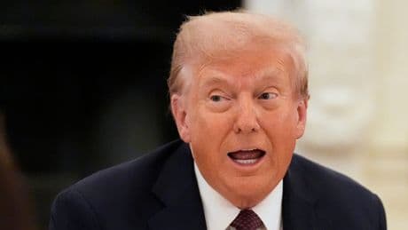 Fall Epstein - Trumps angeblicher Schamhaar-Brief veröffentlicht