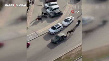 Otomobile atı bağlayıp götüren sahibi ve sürücü tutuklandı
