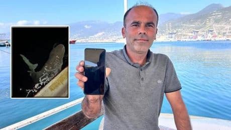 İskenderun'da yakalandı Akdeniz'e geri bırakıldı! Tam 2 buçuk metrelik...