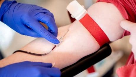 Gesundheit: Rotes Kreuz wirbt um Blutspenden - auch junge Leute gefragt