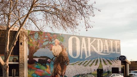 How Misinformation and Partisan ‘New Media’ Changed a California Town