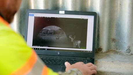 Colorado Innovates Wildlife Crossing System To Deter Crashes