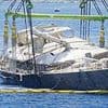 Italian prosecutors investigating the sinking of the £30milllion superyacht Bayesian 'seek to pin blame for tycoon's tragedy on negligent crew'