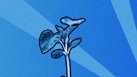 « Les élus de terrain ne contestent pas les objectifs climatiques, mais réclament la capacité d’agir dans la durée »