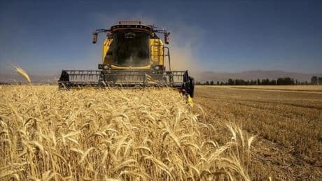 TÜİK: 2025 Mayıs ayında Tarımsal Girdi Fiyat Endeksi yükseldi