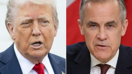 Diplomatie: Donald Trump reçoit Mark Carney, que les Canadiens ont élu pour lui tenir tête